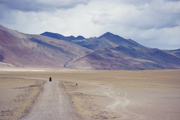 Tso-moriri amazing view with solo rider