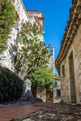 Fototapeta na wymiar Medieval village of Eze, French Riviera