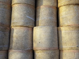 Hay in rolls on the farm