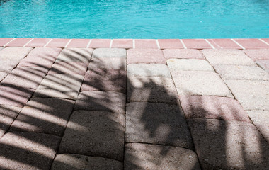 palm frond shadow on patio paver bricks by a swimming pool