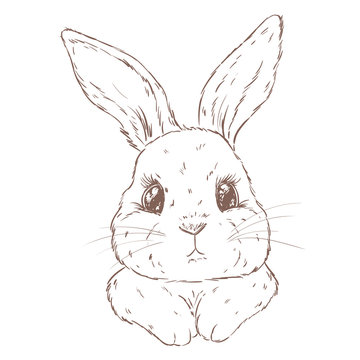 Hand drawn vector illustration of cute bunny