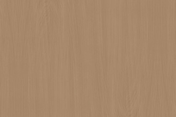 oak timber lumber tree wood wallpaper structure backdrop texture background