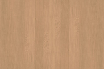 oak timber lumber tree wood wallpaper structure backdrop texture background