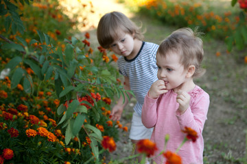 Two girls taste the bitter berries of the mountain ash tree