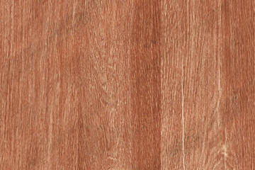 Fototapeta premium old vintage rustic oak wood timber tree wooden surface wallpaper structure texture background
