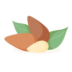 Almond nuts with green leaves. Vector illustration. Almond Icon or logo. Isolated nuts on background. Almond milk illustration, design elements, package design concept. Vegan, vegetarian, eco food