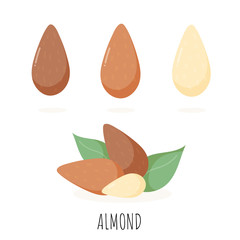 Almond nuts with green leaves. Vector illustration. Almond Icons and logo. Isolated nuts on background. Almond milk illustration, design elements, package design concept. Vegan, vegetarian, eco food