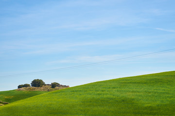 Landscape in spring with fields full of brown and green colors