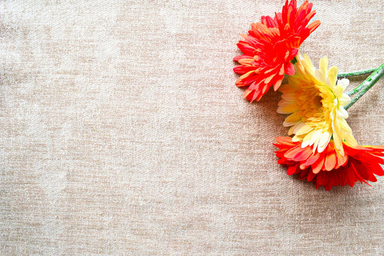 beige and orange gerbera daisies on the fabric. Copy space - photo