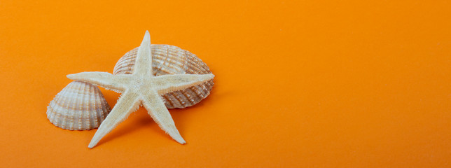 Fond coquillages et étoile de mer sur fond orange pour les vacances