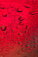 Efecto gota como lente, rosa inversa, rosa detrás de un cristal lleno de gotas