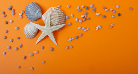 Fond coquillages et étoile de mer sur fond orange pour les vacances