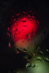 Efecto gota como lente, rosa inversa, rosa detrás de un cristal lleno de gotas