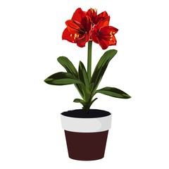Red exotic lilies in pot. Houseplant in pots. Green natural décor for home and interior. 