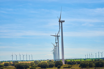 Landscape of windmills in spring with fields full of brown and green colors