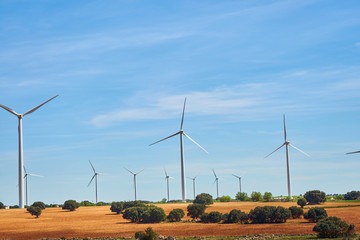 Landscape of windmills in spring with fields full of brown and green colors