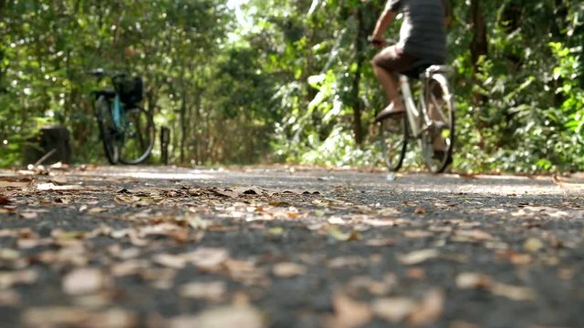 Asian people exercising by riding bicycles on the track in the lush green forest with fresh air and pollution free. Concept sport healthy lifestyle. Selective focus on the ground.