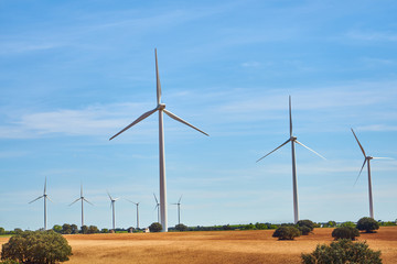 Landscape of windmills in spring with fields full of brown and green colors