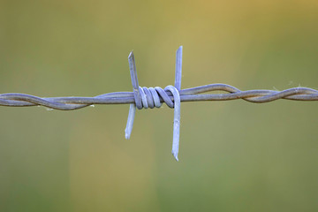 Wire fence close up