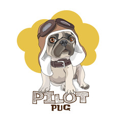 Puppy Pug in a leather pilot hat on a yellow background. Vector illustration. © Afishka