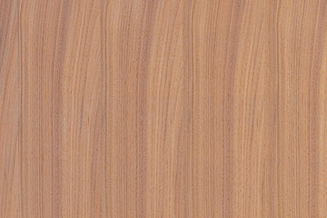 Naklejka premium vintage rose tree timber wood texture wallpaper background backdrop