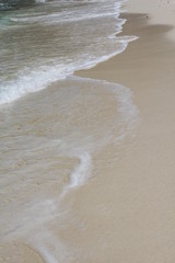 seychelles beach private island coconut