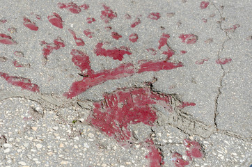 A Sarajevo Rose is a type of memorial in Sarajevo, holes in the streets and sidewalks resulting from mortar shells