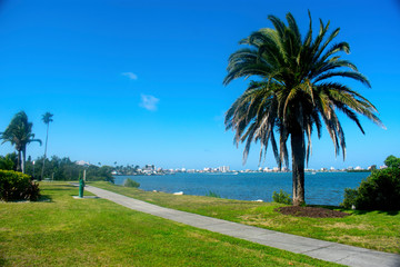 Views of Clearwater Harbor from Clearwater, Florida, USA, flanked by beautiful palm trees on a warm and sunny spring day - obrazy, fototapety, plakaty