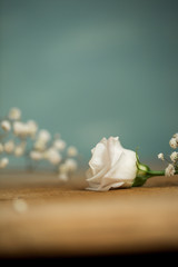 Weiße Blüte auf Holz mit Schleierkraut