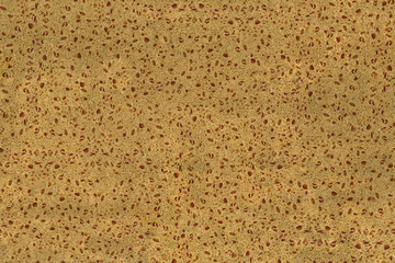 natural organic sponge structure texture background wallpaper