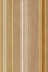 colored panel timber tree wooden wallpaper structure texture background high size