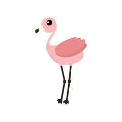 Pink flamingo vector illustration isolated on white background