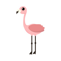 Pink flamingo vector illustration isolated on white background