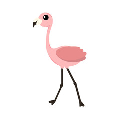 Pink flamingo vector illustration isolated on white background