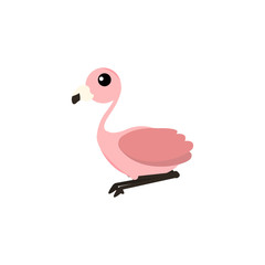 Pink flamingo vector illustration isolated on white background