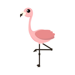 Pink flamingo vector illustration isolated on white background