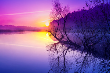Magical purple sunrise over the lake. Misty morning. Rural landscape