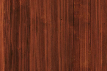 acacia timber tree wooden surface wallpaper structure texture background