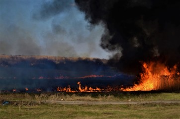 Fototapeta na wymiar fire in the steppe
