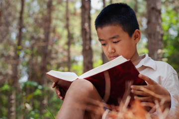 Asian boy is sitting reading a book on a timber in the forest.