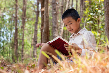 Asian boy is sitting reading a book on a timber in the forest.