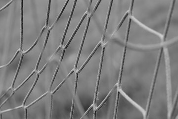 Soccer net play field detail