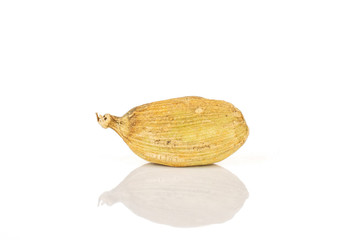 One whole true cardamom pod isolated on white background