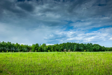 Fototapeta premium Green field, trees and clouds in the sky
