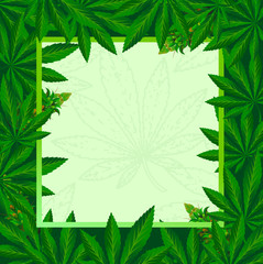 Green cannabis leaf Background vector illustration.
