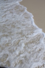seychelles beach private island coconut