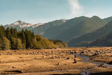 Dry Baker Lake with tree stumps into the ground that water has left visible with mountains and forest in the background