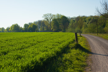 Fototapeta na wymiar spring landscape of fields in Germany, field road leading into the distance