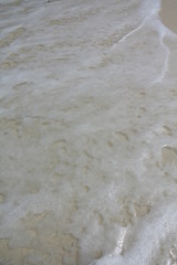 seychelles beach private island coconut