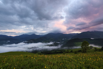 Majestic spring day. A beautiful landscape with high mountains, sky with clouds and sunset. Dense fog with beautiful light. The lawn with yellow flowers. A place to relax in the Carpathian Park.